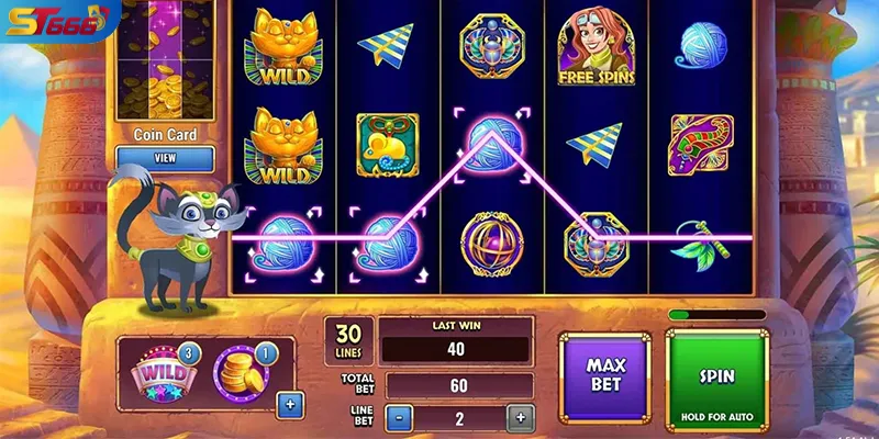 Cách thiết lập mức cược và paylines trong slot trực tuyến
